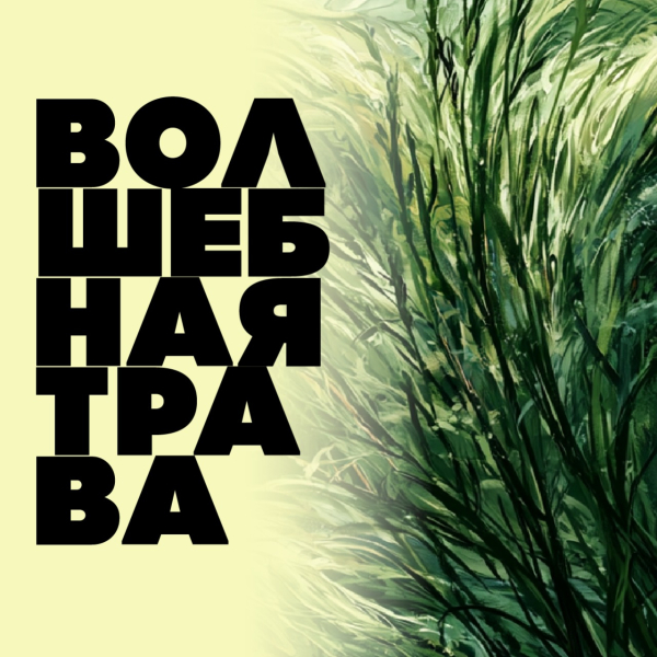 Фото Волшебная Трава