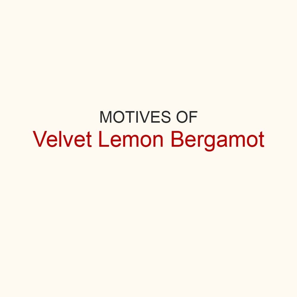 Фото Мотивы Vetiver & Lemon, Bergamot