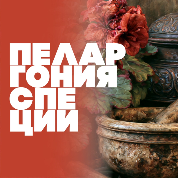 Фото Пеларгония и специи