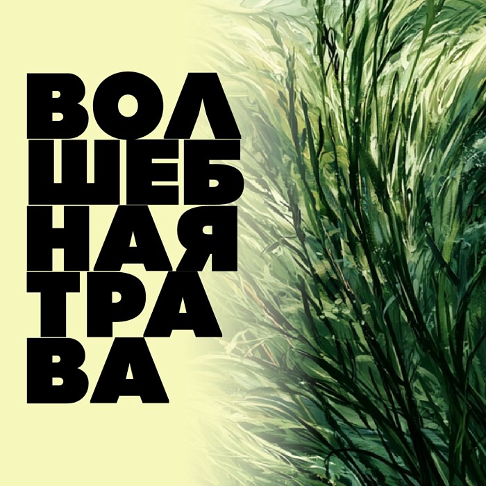 Отдушка «Волшебная Трава»